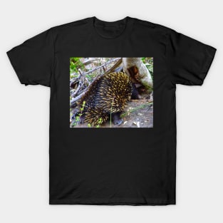 The Hungry Echidna ! T-Shirt